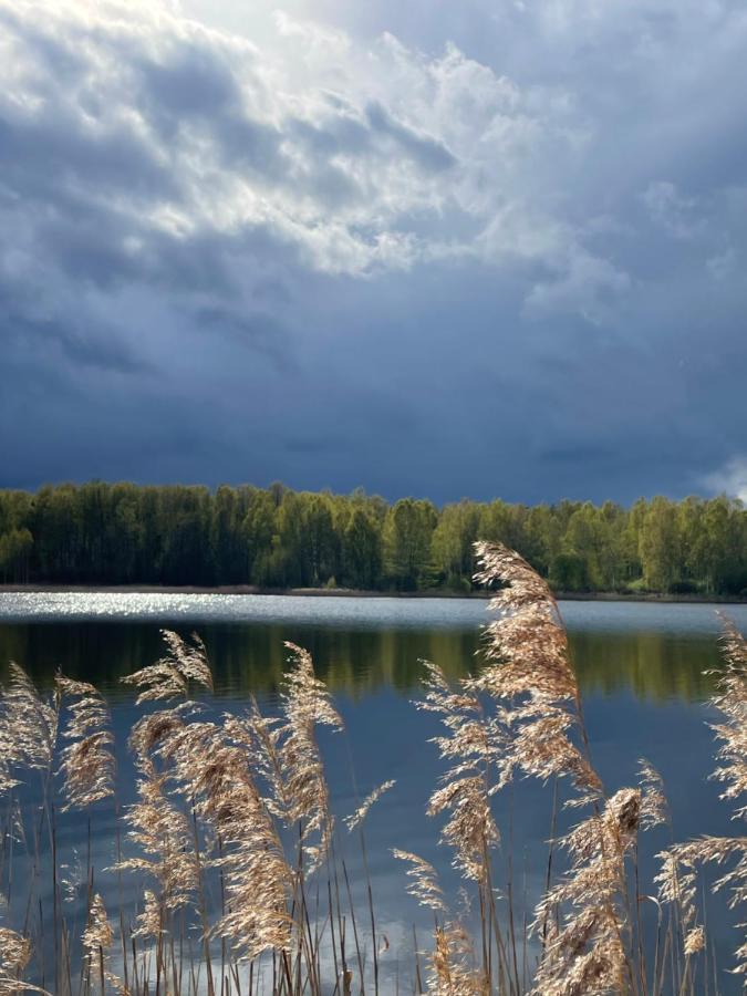 Ambercoast Villa Jūrkalne Kültér fotó
